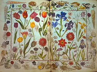 Doppelseite (Seite 179 und 180) mit Blumen und Conchylien, um 1590–1595