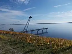 Großräschener See mit Weinanbau im Lausitzer Seenland