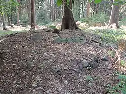 Großsteingrab Barnstedt