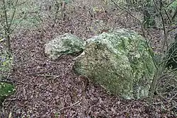 Großsteingrab Brookbäke 2