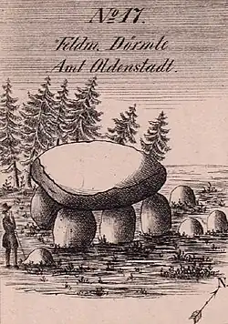 Großsteingrab Dörmte 3