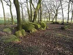 Großsteingrab Deymanns Mühle IV