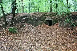 Großsteingrab Flögeln 2