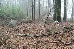 Großsteingrab Horneburg 1