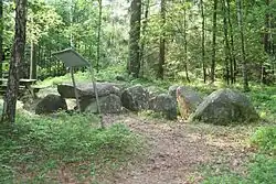 Großsteingrab Steden 2