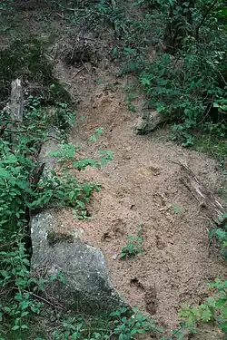 Großsteingrab Steden 3