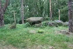 Großsteingrab Teufelssteine Voxtrup