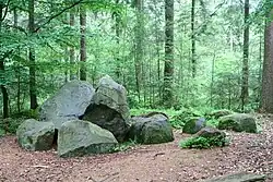 Großsteingrab Wanna 10