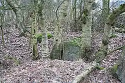 Großsteingrab Wanna 4