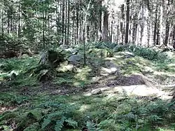 Großsteingrab Wietzetze 3