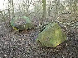 Großsteingrab Lahn 5 (Großsteingrab am Kölkesberg)