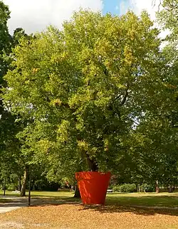 Baum in übergroßem Blumentopf von Timm Ulrichs