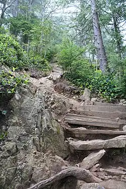 Wanderweg Grouse Grind