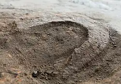 Eisener Beschlag für einen Holzspaten in Fundlage