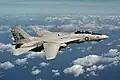 Grumman F-14A Tomcat