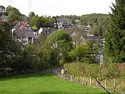 Blick auf die Hofschaft aus Richtung Spelsberg