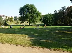 Liegewiese im Friedenthalpark