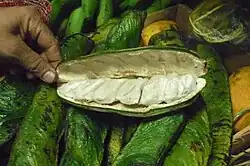 Eiscremebohne (Inga spectabilis, Inga edulis, Inga feuilleei u. a.)