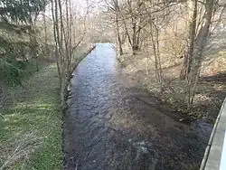 Högenbach Mündung in die Pegnitz (im Hintergrund)