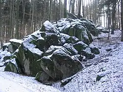 Granodioritfelsburg (Bügeleisengruppe) am Wald-Erlenbacher Hang des Höhnberges (375 m)