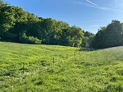 Höllsbach südlich von Ellingen