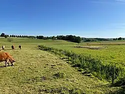 Höllsbachtal zwischen Oberhonnefeld und Straßenhaus