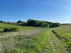 Höllsbachtal bei Ellingen