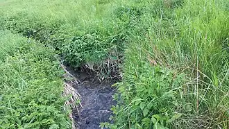Mündung des Höllsbachs (links) in den Fockenbach (rechts) im Fockenbachtal