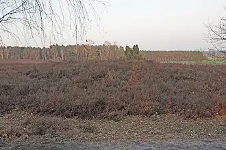 Ein Hügelgrab am Fuße des Berges