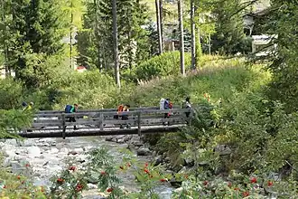 Holzbrücke, September 2013