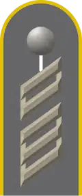 Dienstgradabzeichen eines Oberstabsgefreiten der Fernmeldetruppe auf Schulterklappe der Jacke des Dienstanzuges für Heeresuniformträger