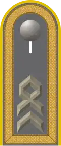 Dienstgradabzeichen auf der Schulterklappe der Jacke des Dienstanzuges für Heeresuniformträger der Fernmeldetruppe.