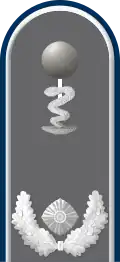 Dienstgradabzeichen auf der Schulterklappe der Jacke des Dienstanzuges für Heeresuniformträger der Sanitätstruppe