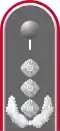 Dienstanzug Oberst i. G. Heeresuniformträger