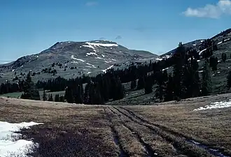Das Horseshoe Basin und der Armstrong Peak in der Okanagan Range (Washington, USA)
