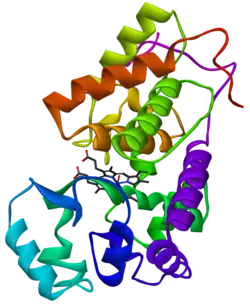 Meerrettichperoxidase CA1 (Armoracia rusticana)
