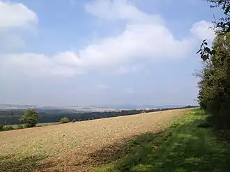 Blick vom Sengelsberg nordwestwärts nach Netze
