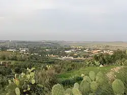 Chadid (חָדִיד)