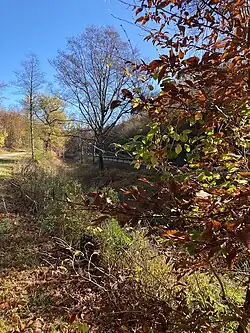 Haintal­graben (2022), nahe L 1083