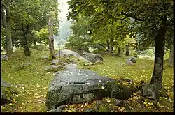 Der Opferhain von Halahult