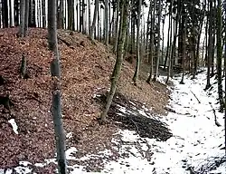 Der Wall der Vorburg nach Osten