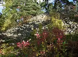 Die Röse im Oktober 2009