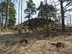 Die Röse im April 2018