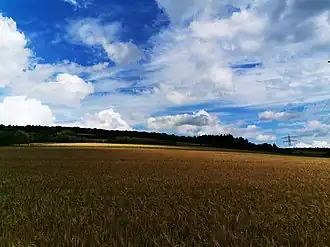 Blick auf den Hammberg vom Gewann Hänglein beim Tauberbischofsheimer Wohngebiet Kirschengarten, 2020