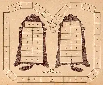 Zuschnitt für eine Boa aus zwei Waschbärfellen, 1895