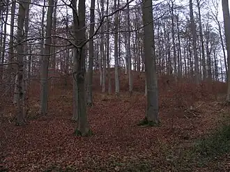 Blick von Süden zur Gipfelregion des Hangarsteins