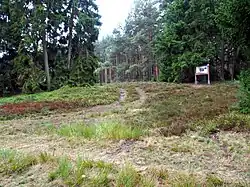 Ausgrabungsort des „Reitergrabes von Hankenbostel“