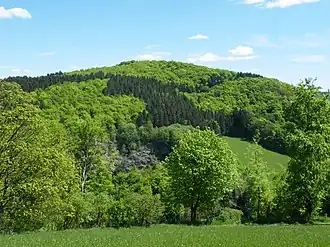 Hansenberg von Westen