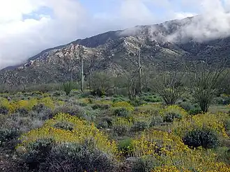 Gebirge vom Norden nach einem feuchten Frühjahr