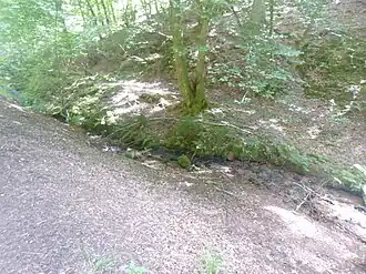 Haselbach am Nordwestfuß